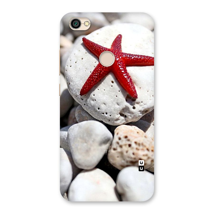 Red Star Fish Back Case for Redmi Y1 2017