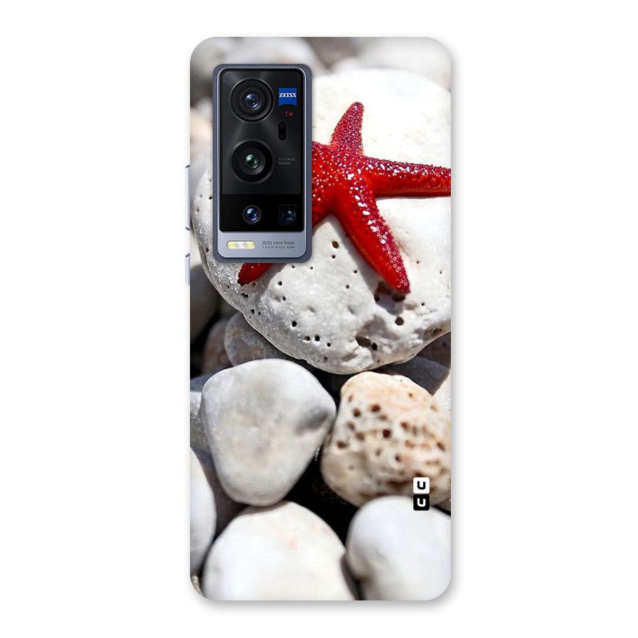 Red Star Fish Back Case for Vivo X60 Pro Plus