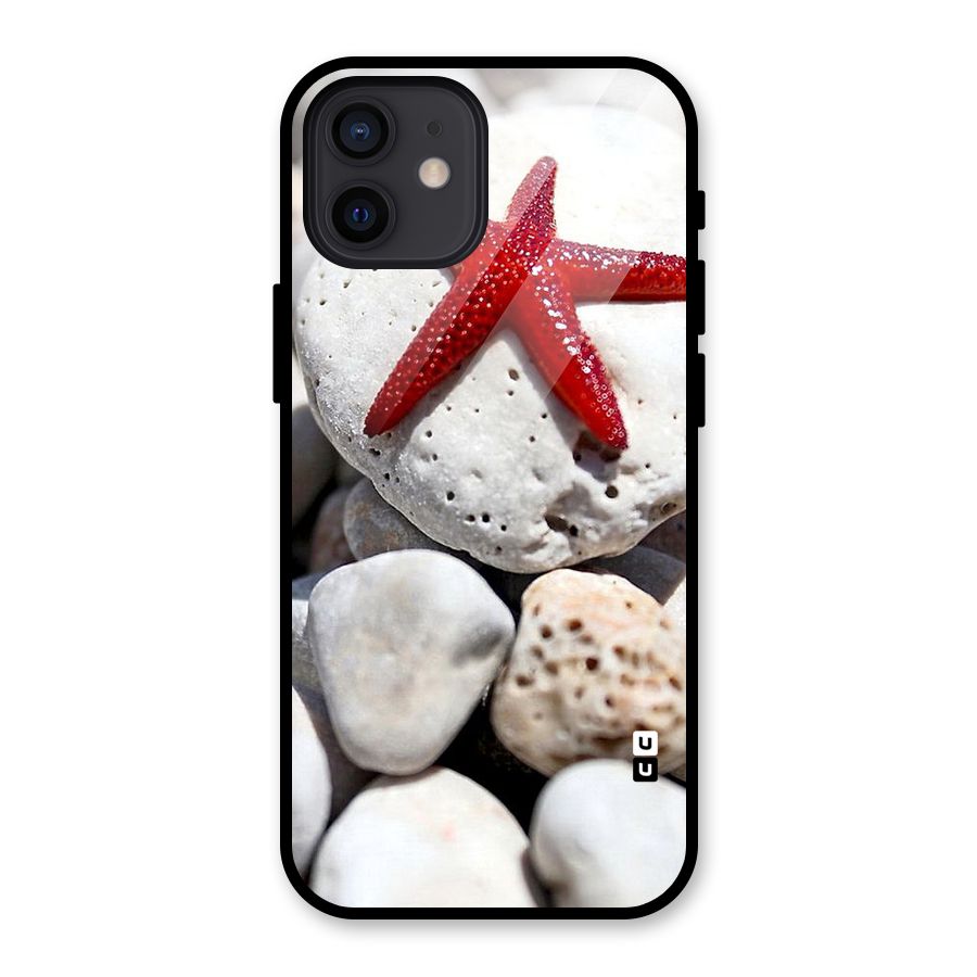 Red Star Fish Glass Back Case for iPhone 12