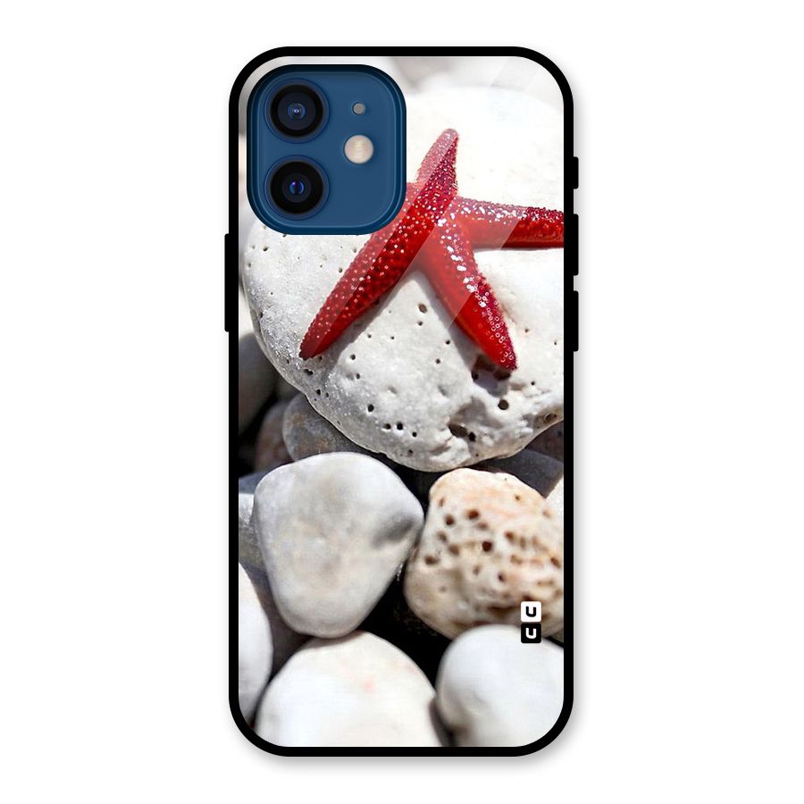 Red Star Fish Glass Back Case for iPhone 12 Mini