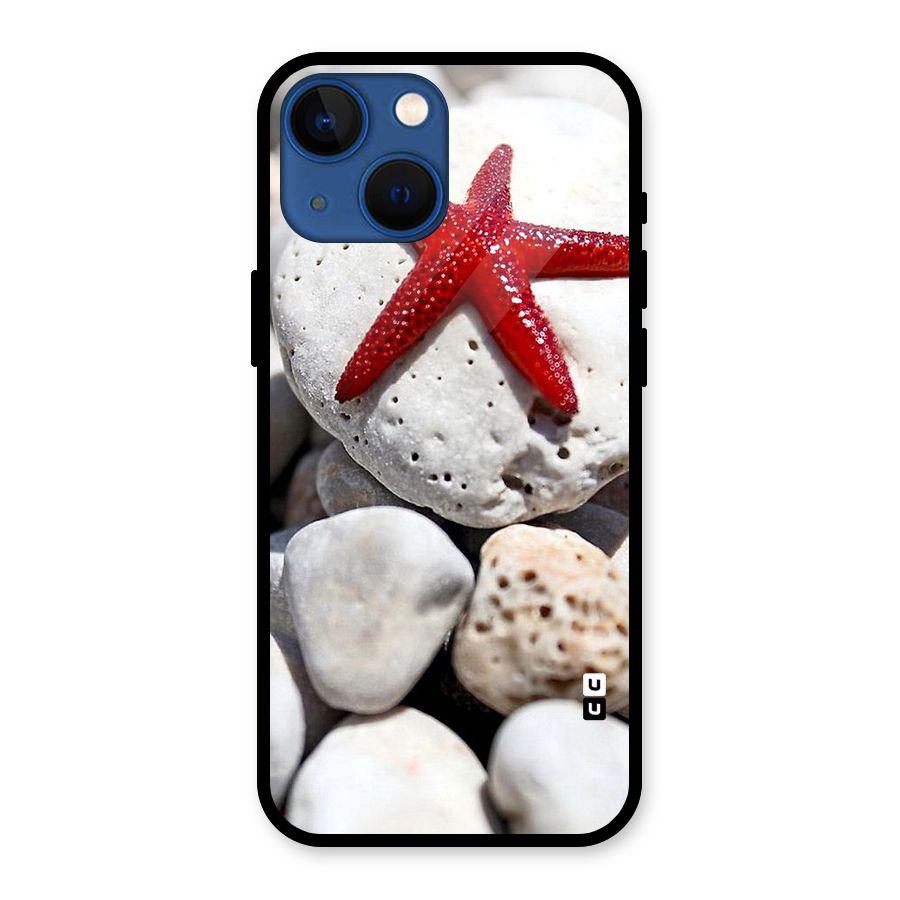 Red Star Fish Glass Back Case for iPhone 13 Mini