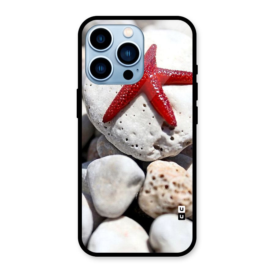 Red Star Fish Glass Back Case for iPhone 13 Pro