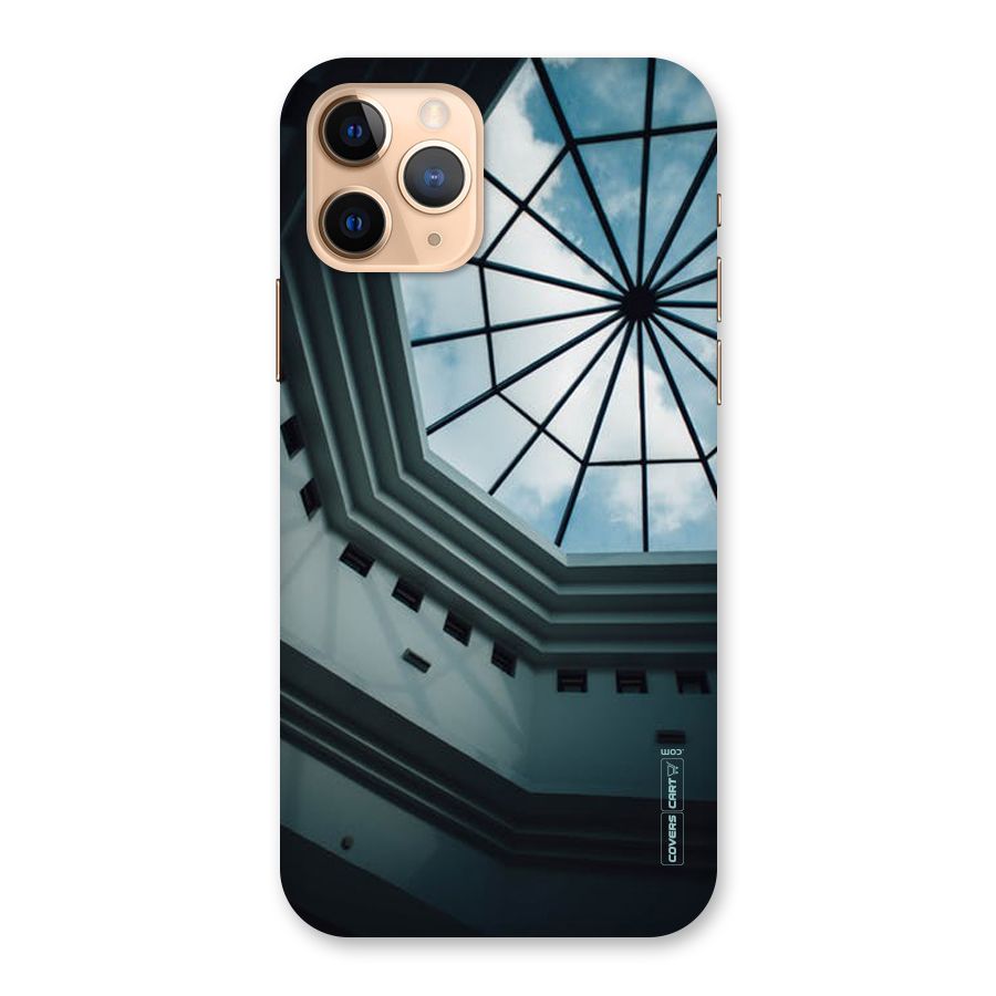 Rooftop Perspective Back Case for iPhone 11 Pro