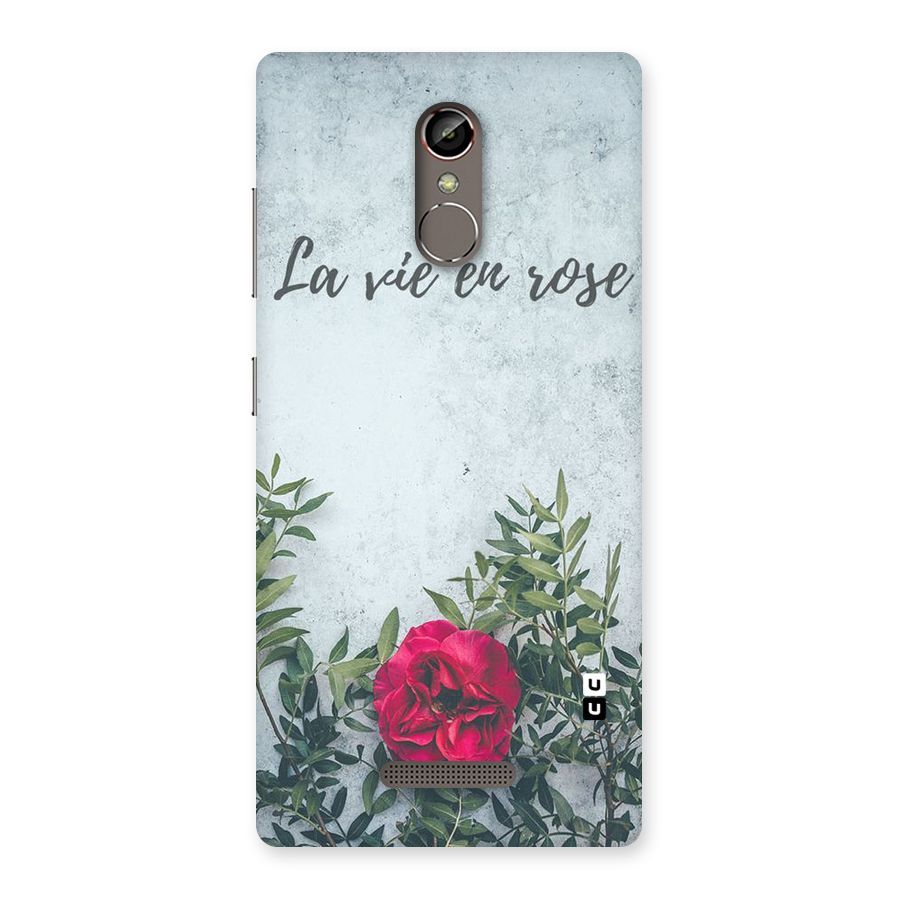 Rose Life Back Case for Gionee S6s