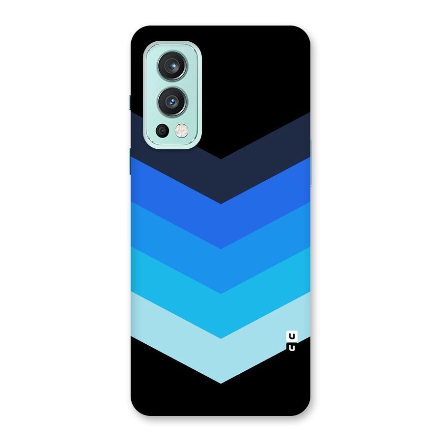 Shades Colors Back Case for OnePlus Nord 2 5G