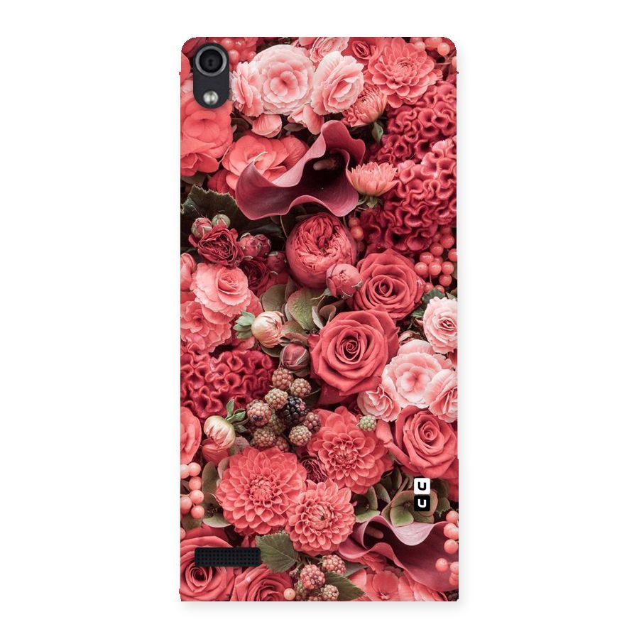 Shades Of Peach Back Case for Ascend P6
