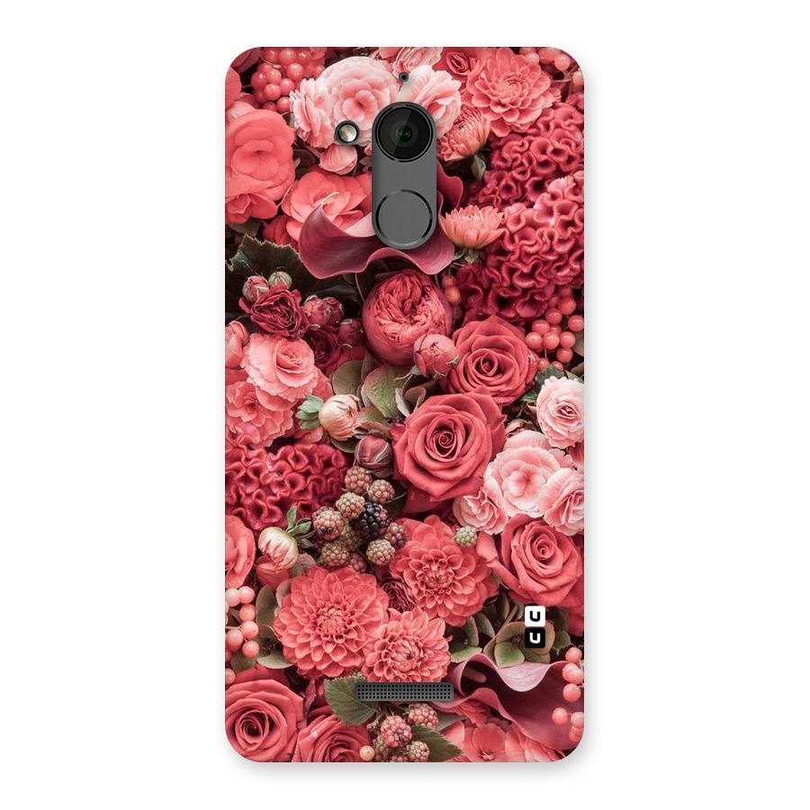Shades Of Peach Back Case for Coolpad Note 5