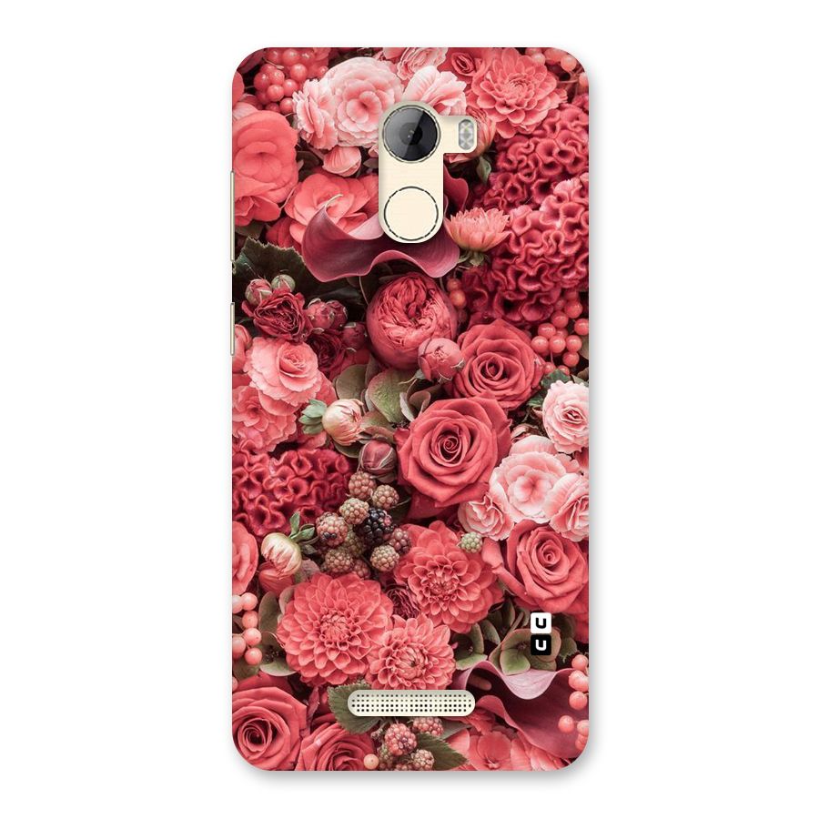 Shades Of Peach Back Case for Gionee A1 LIte