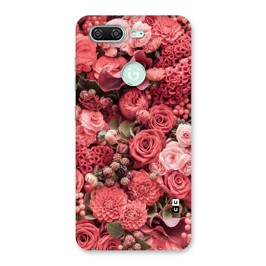 Shades Of Peach Back Case for Gionee S10