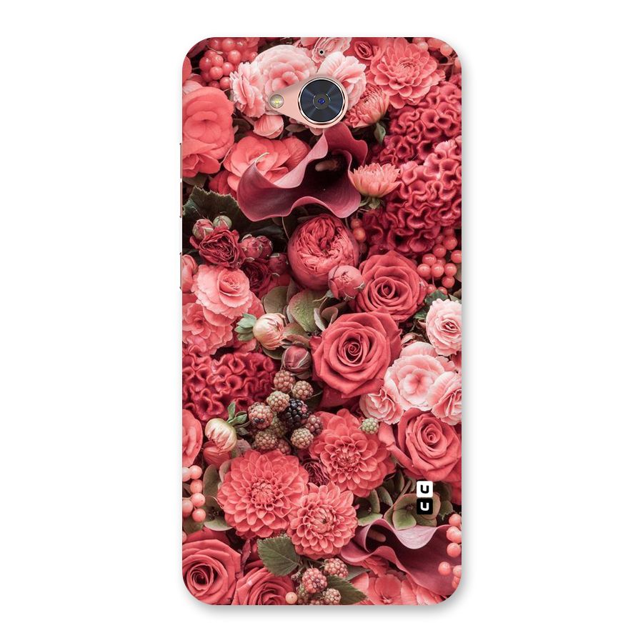 Shades Of Peach Back Case for Gionee S6 Pro