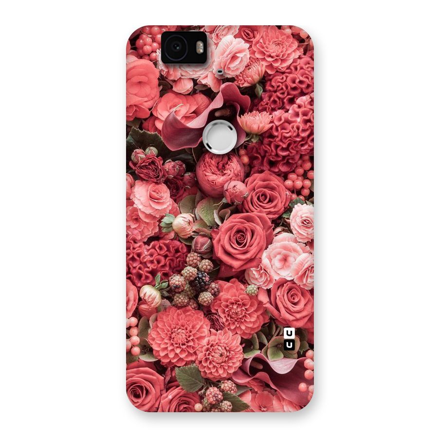 Shades Of Peach Back Case for Google Nexus-6P