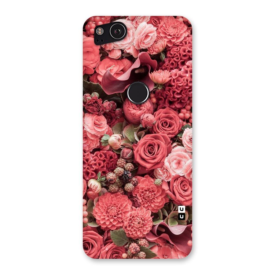 Shades Of Peach Back Case for Google Pixel 2