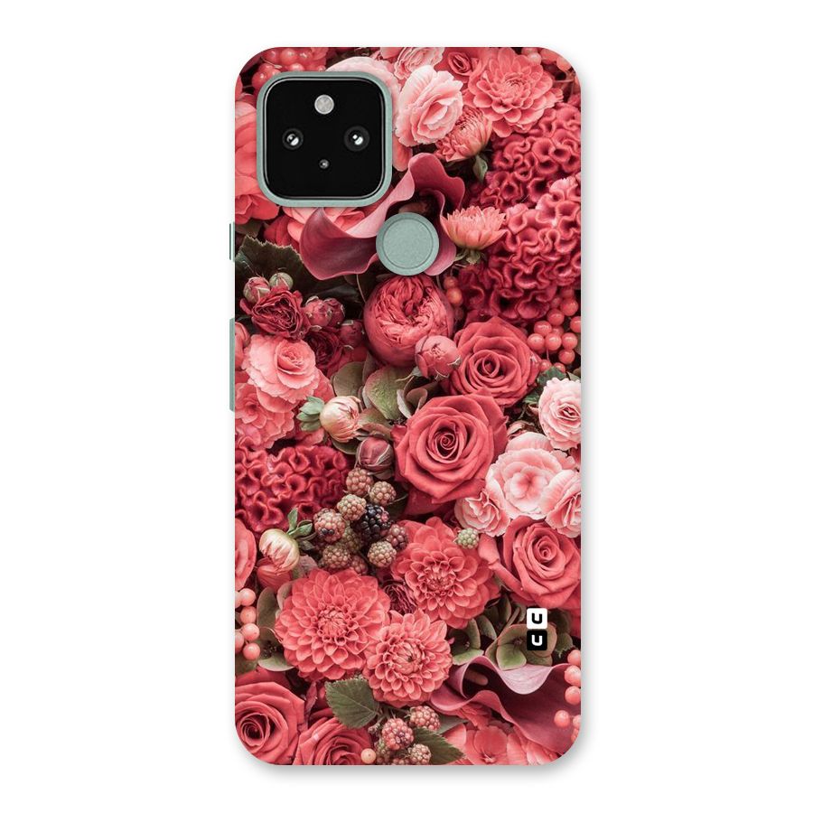 Shades Of Peach Back Case for Google Pixel 5