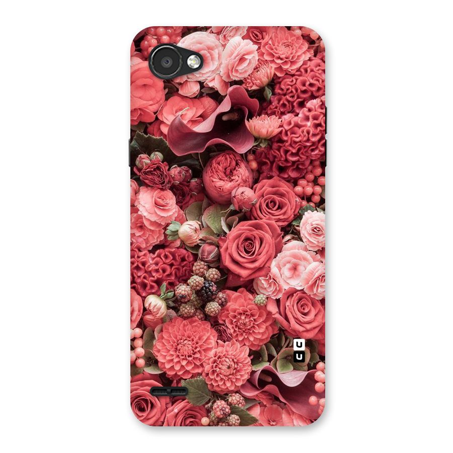Shades Of Peach Back Case for LG Q6