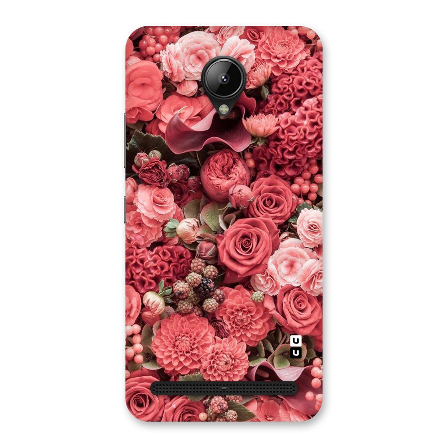 Shades Of Peach Back Case for Lenovo C2