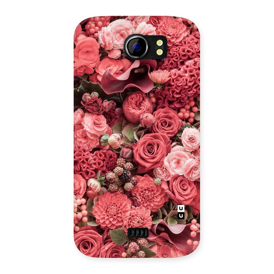 Shades Of Peach Back Case for Micromax Canvas 2 A110