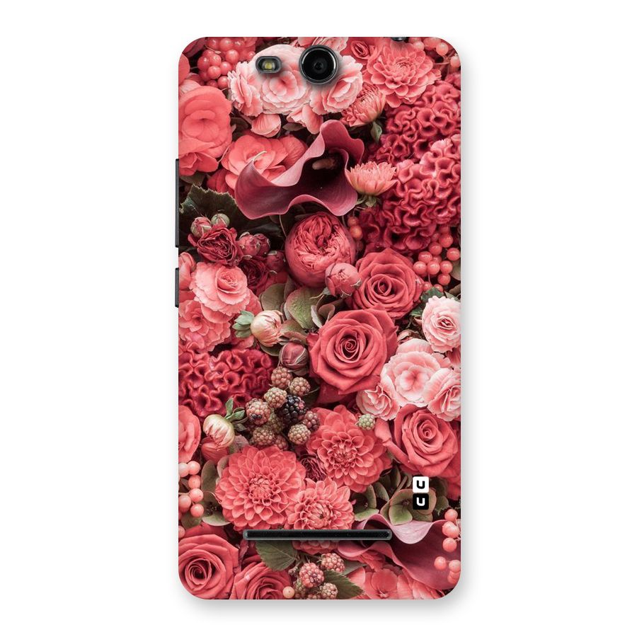 Shades Of Peach Back Case for Micromax Canvas Juice 3 Q392