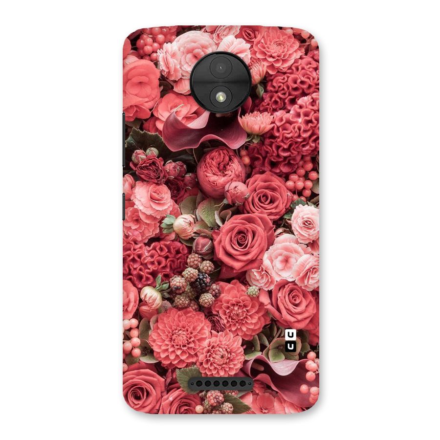 Shades Of Peach Back Case for Moto C