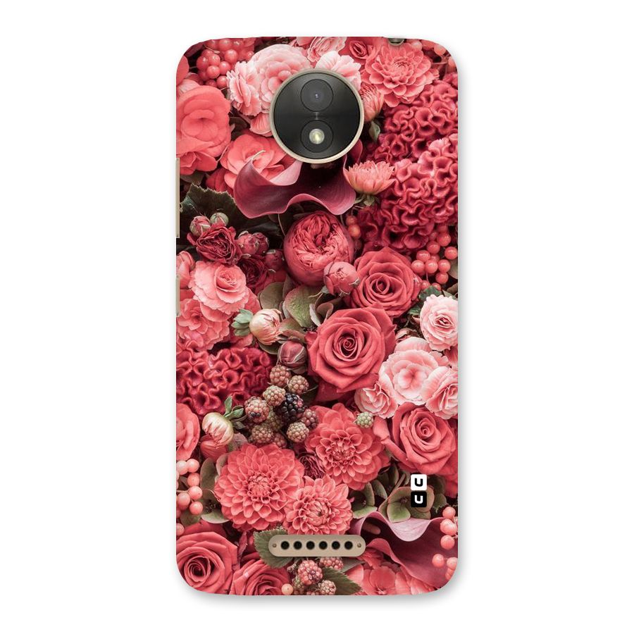Shades Of Peach Back Case for Moto C Plus