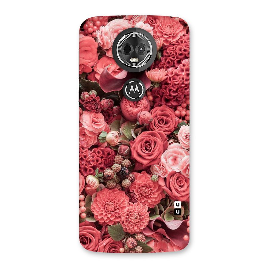 Shades Of Peach Back Case for Moto E5 Plus