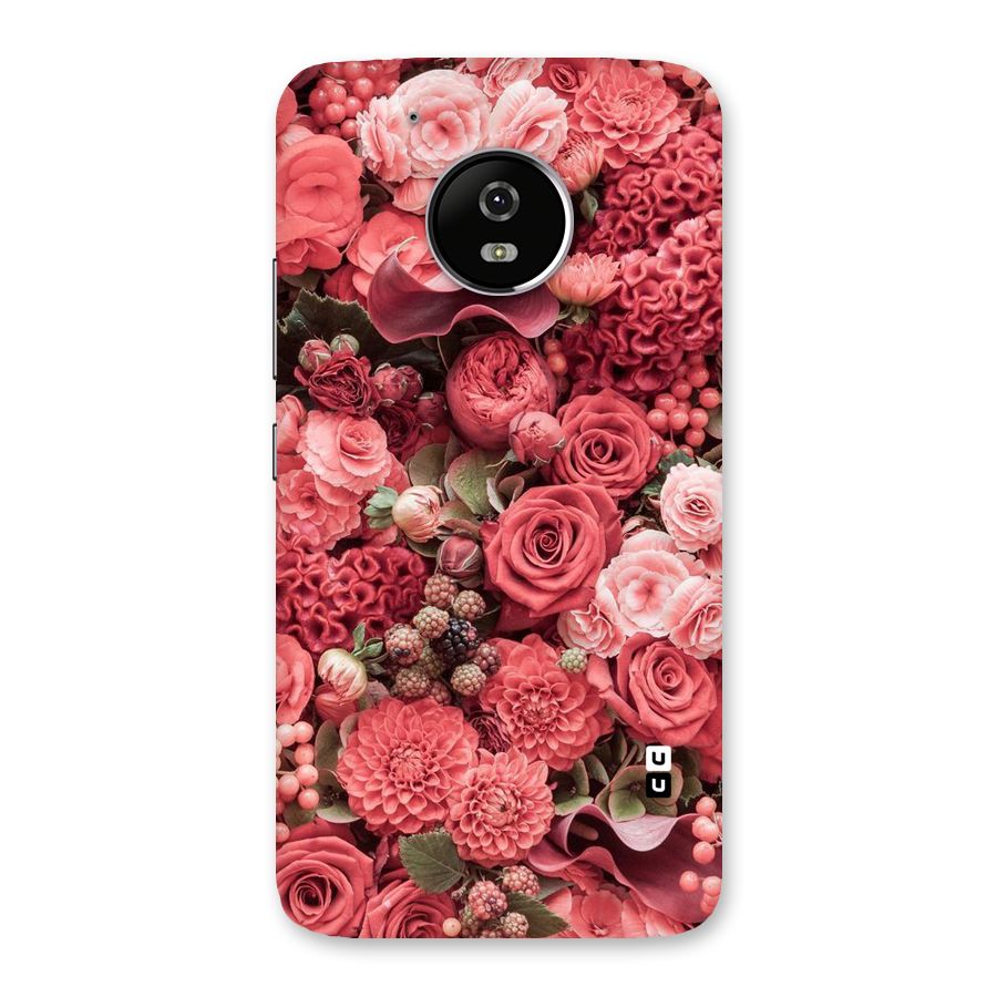 Shades Of Peach Back Case for Moto G5