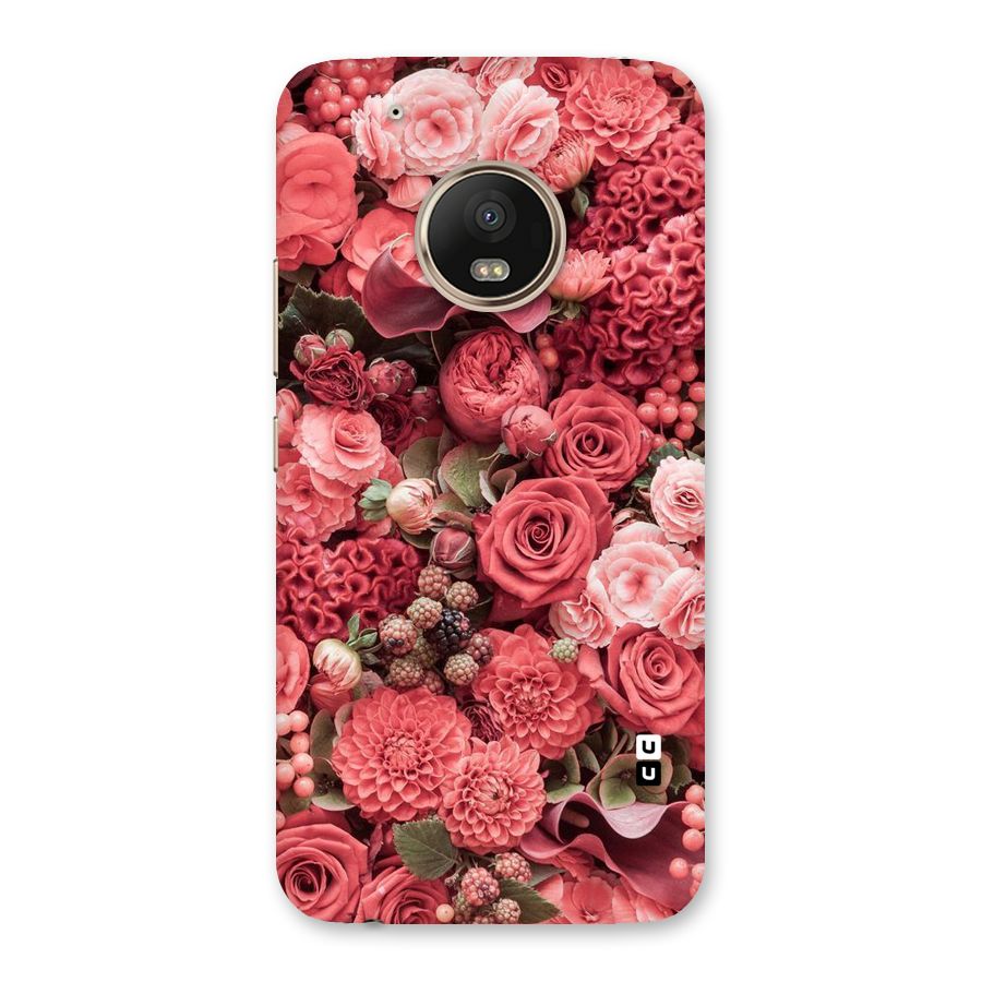 Shades Of Peach Back Case for Moto G5 Plus