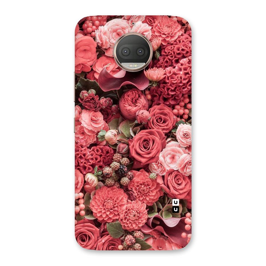 Shades Of Peach Back Case for Moto G5s Plus