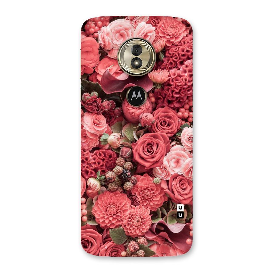 Shades Of Peach Back Case for Moto G6 Play