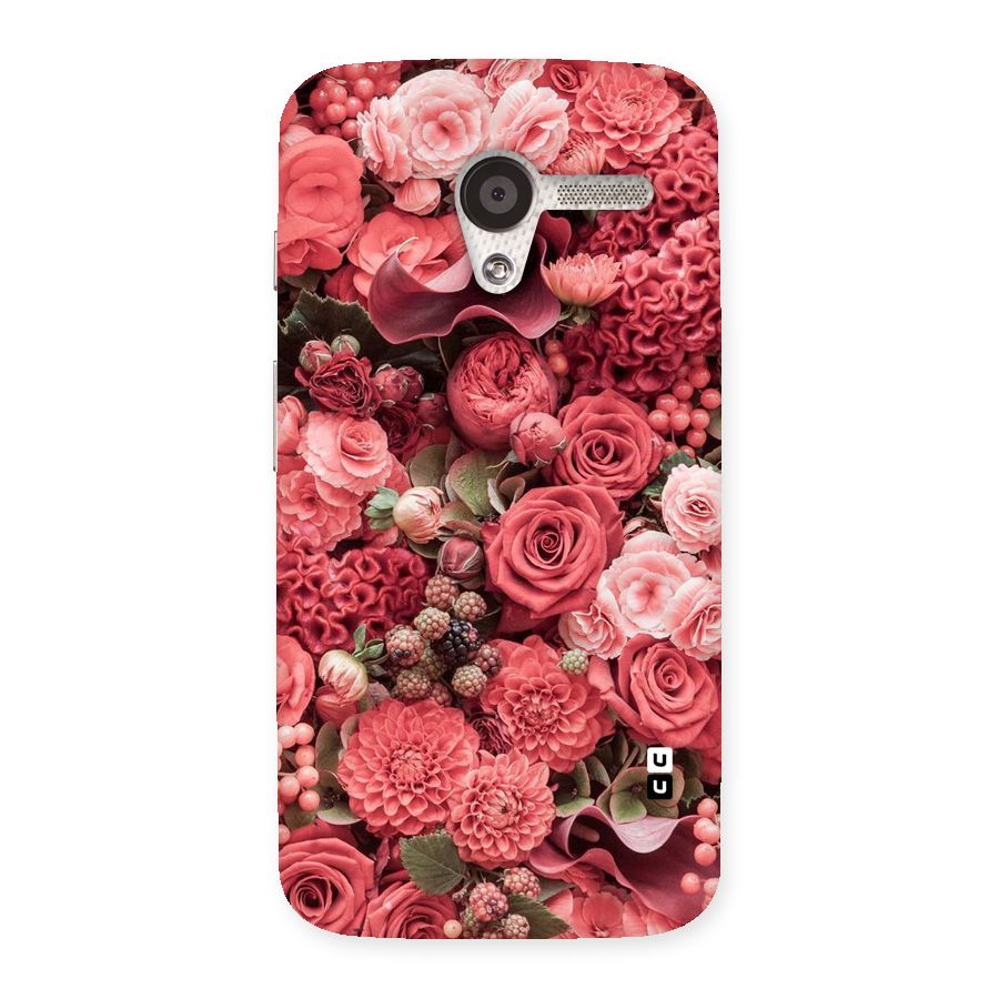 Shades Of Peach Back Case for Moto X