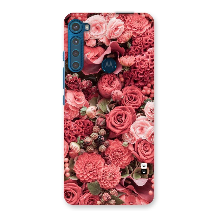 Shades Of Peach Back Case for Motorola One Fusion Plus