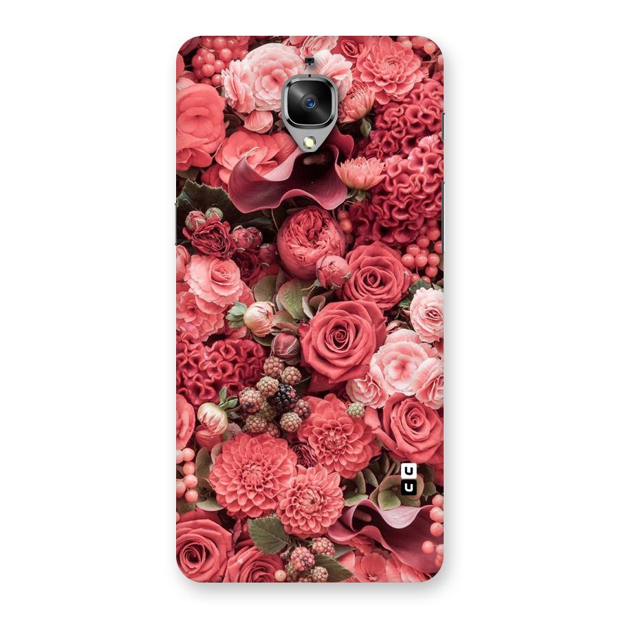 Shades Of Peach Back Case for OnePlus 3