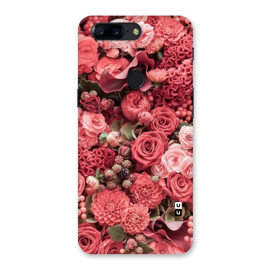 Shades Of Peach Back Case for OnePlus 5T