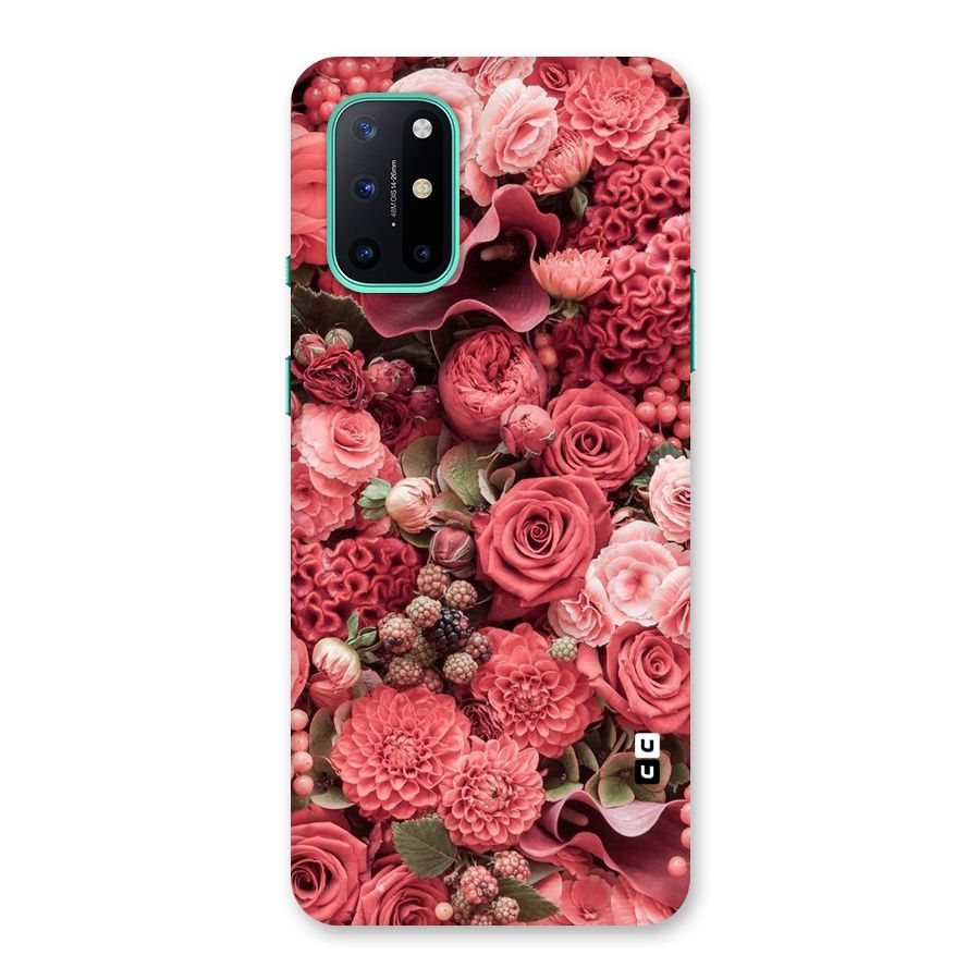 Shades Of Peach Back Case for OnePlus 8T