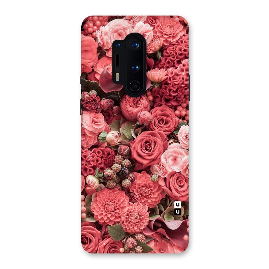 Shades Of Peach Back Case for OnePlus 8 Pro