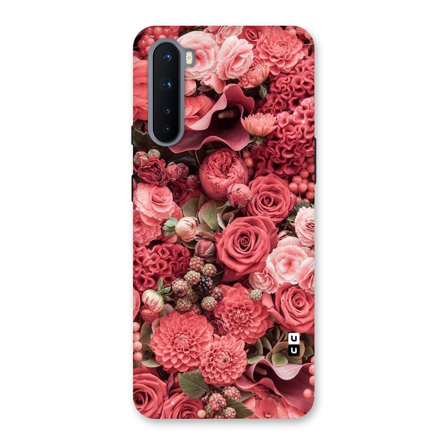 Shades Of Peach Back Case for OnePlus Nord