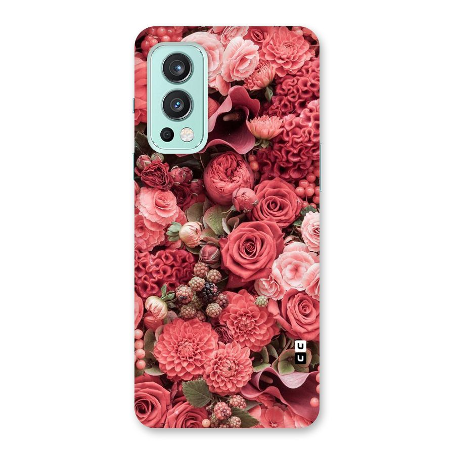 Shades Of Peach Back Case for OnePlus Nord 2 5G