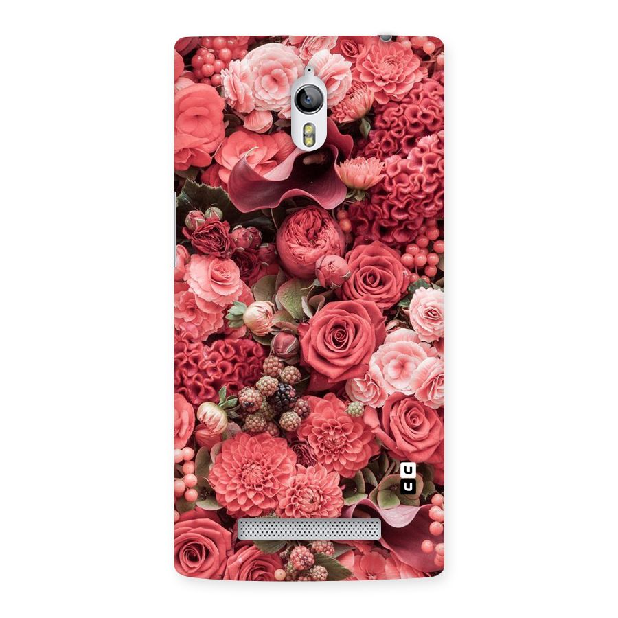 Shades Of Peach Back Case for Oppo Find 7