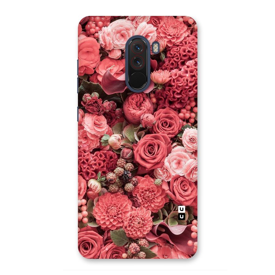 Shades Of Peach Back Case for Poco F1