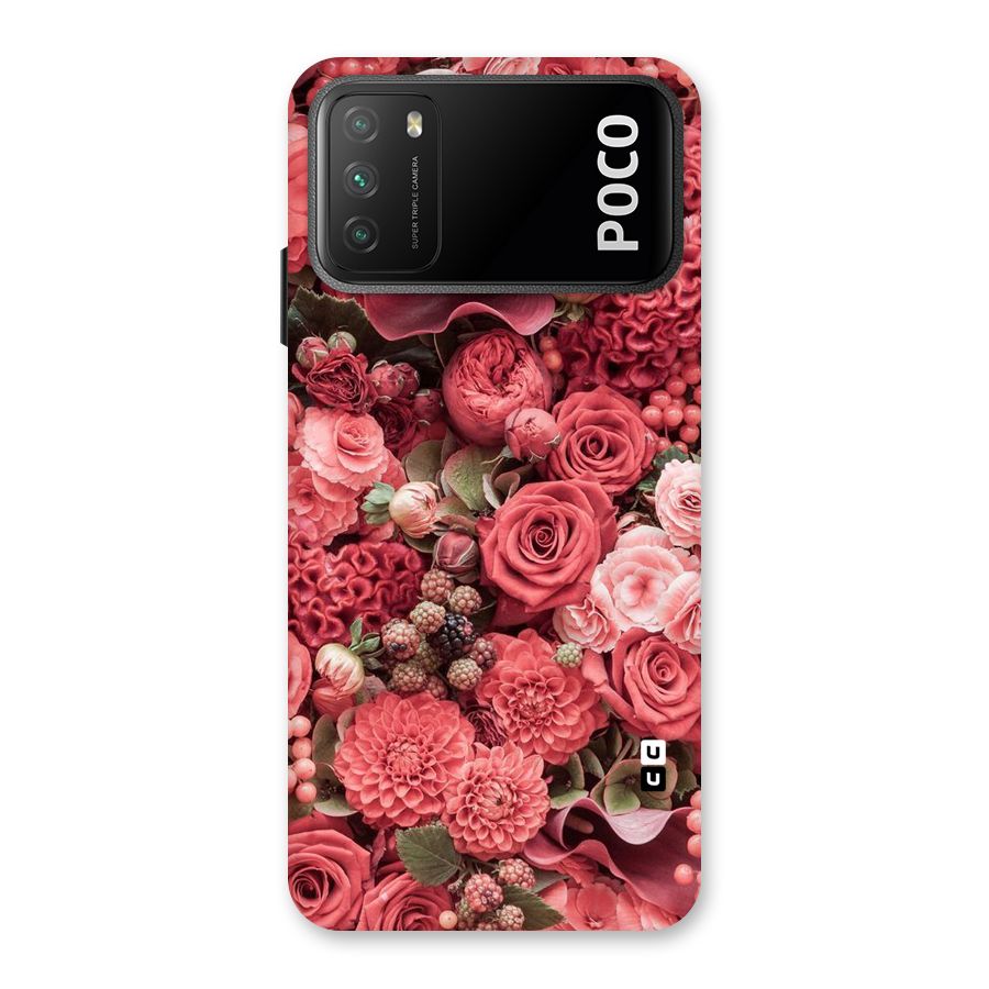 Shades Of Peach Back Case for Poco M3