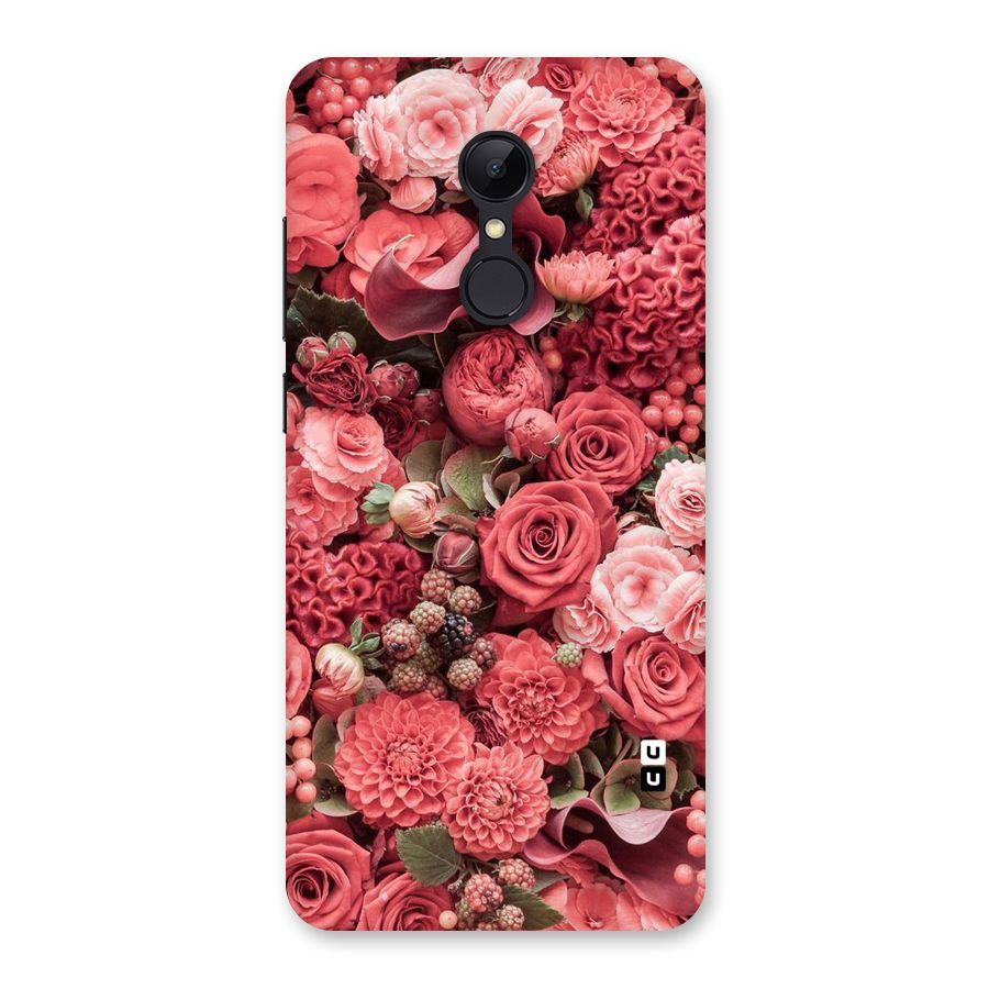 Shades Of Peach Back Case for Redmi 5