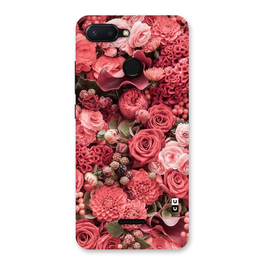Shades Of Peach Back Case for Redmi 6