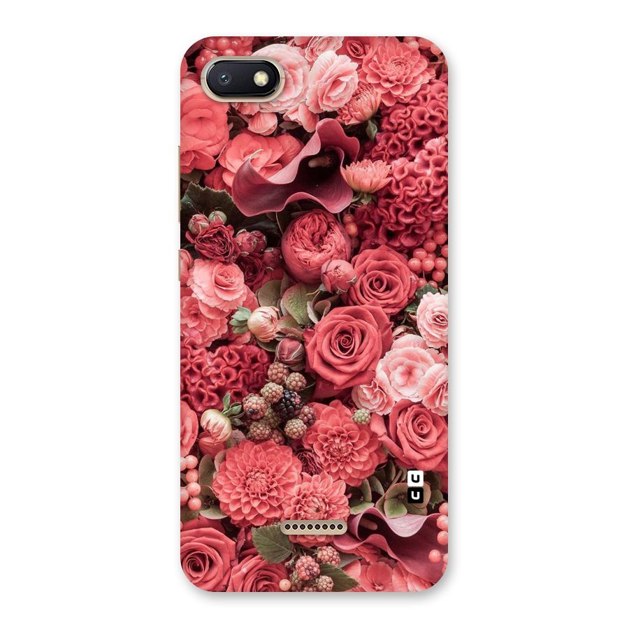 Shades Of Peach Back Case for Redmi 6A