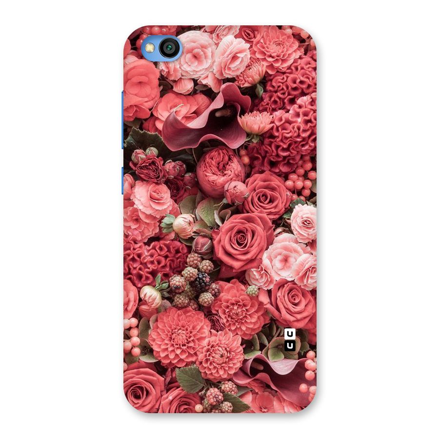 Shades Of Peach Back Case for Redmi Go