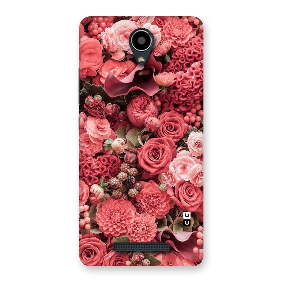 Shades Of Peach Back Case for Redmi Note 2