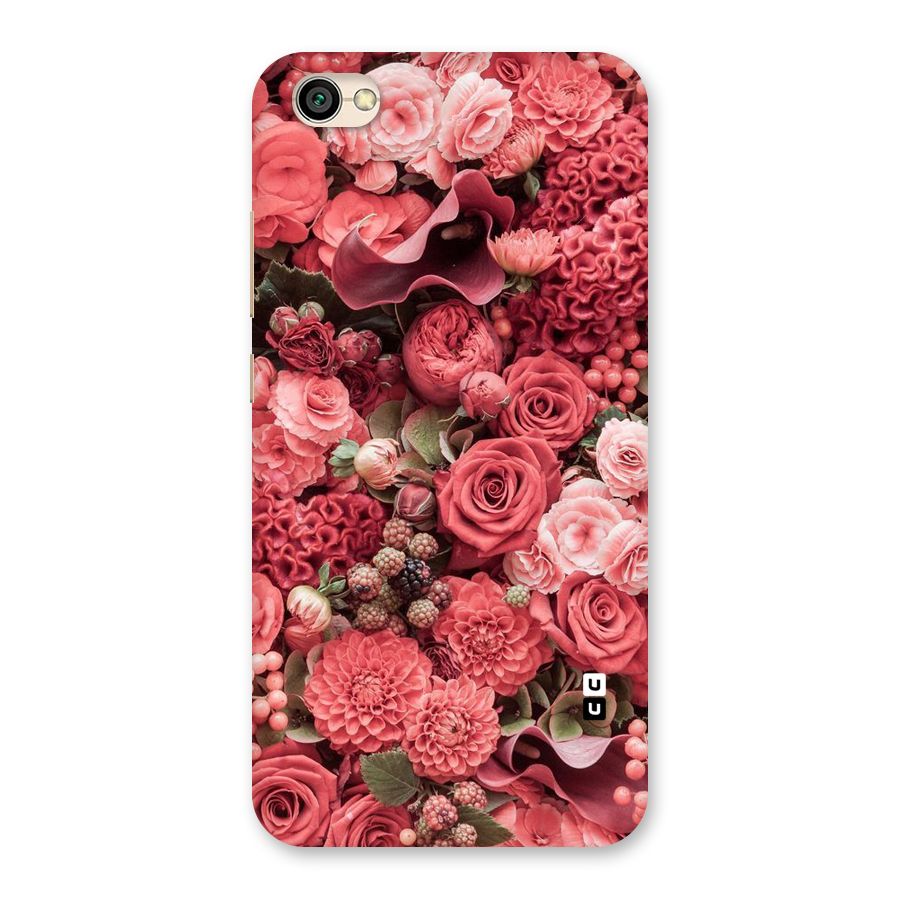 Shades Of Peach Back Case for Redmi Y1 Lite