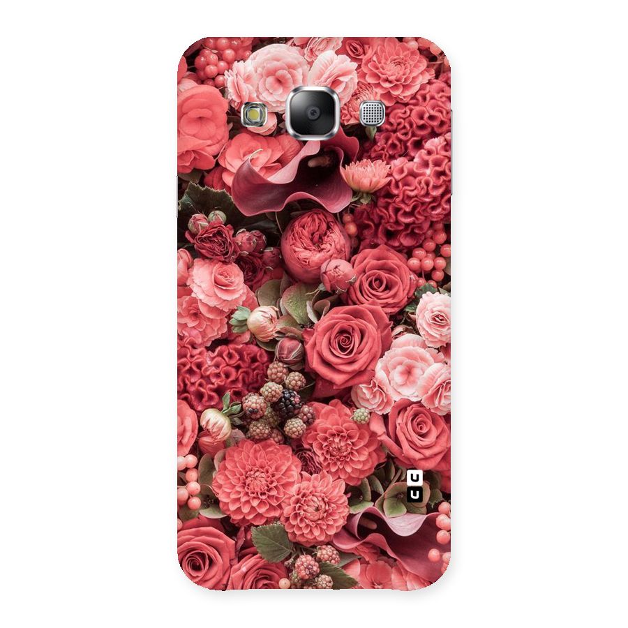 Shades Of Peach Back Case for Samsung Galaxy E5