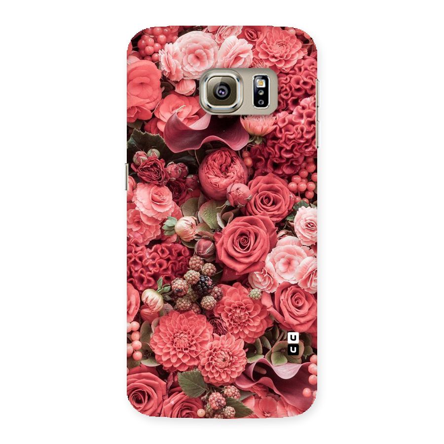 Shades Of Peach Back Case for Samsung Galaxy S6 Edge