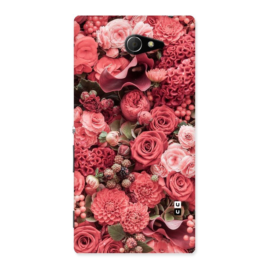 Shades Of Peach Back Case for Sony Xperia M2