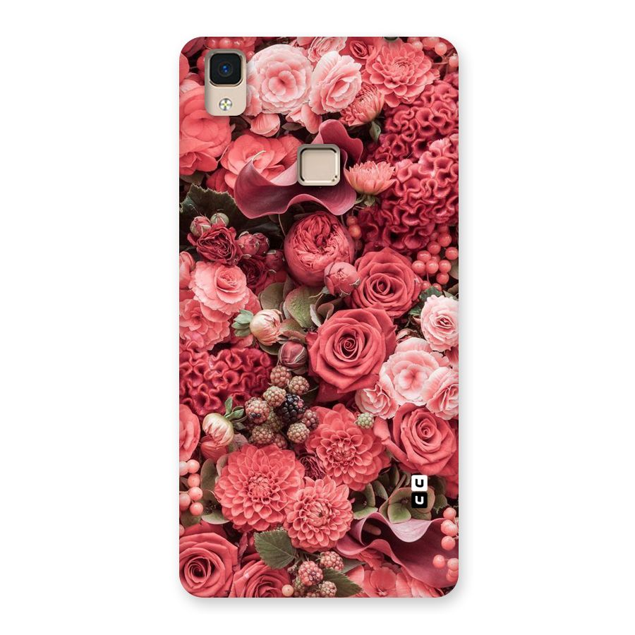 Shades Of Peach Back Case for V3 Max