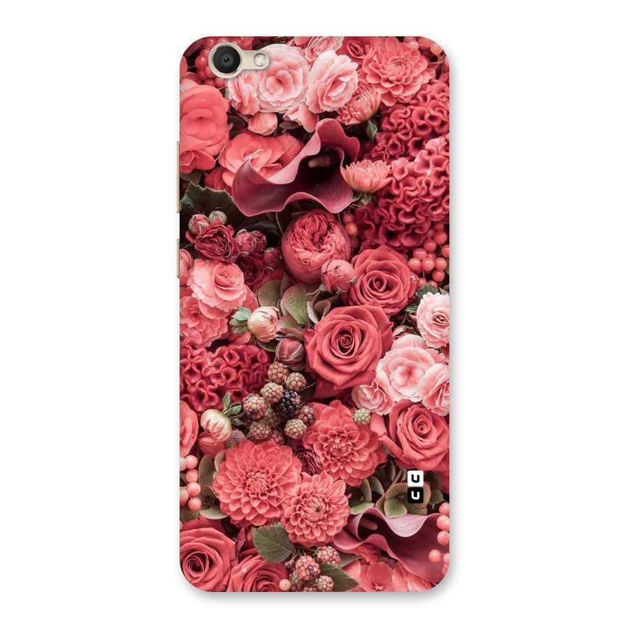Shades Of Peach Back Case for Vivo V5